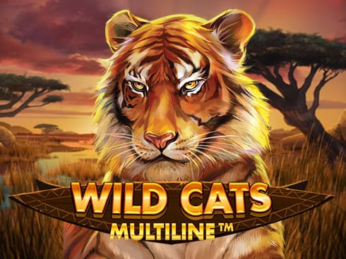 Wild Cats Multiline game cover