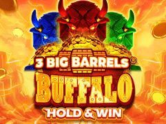 3 Big Barrels Buffalo game cover